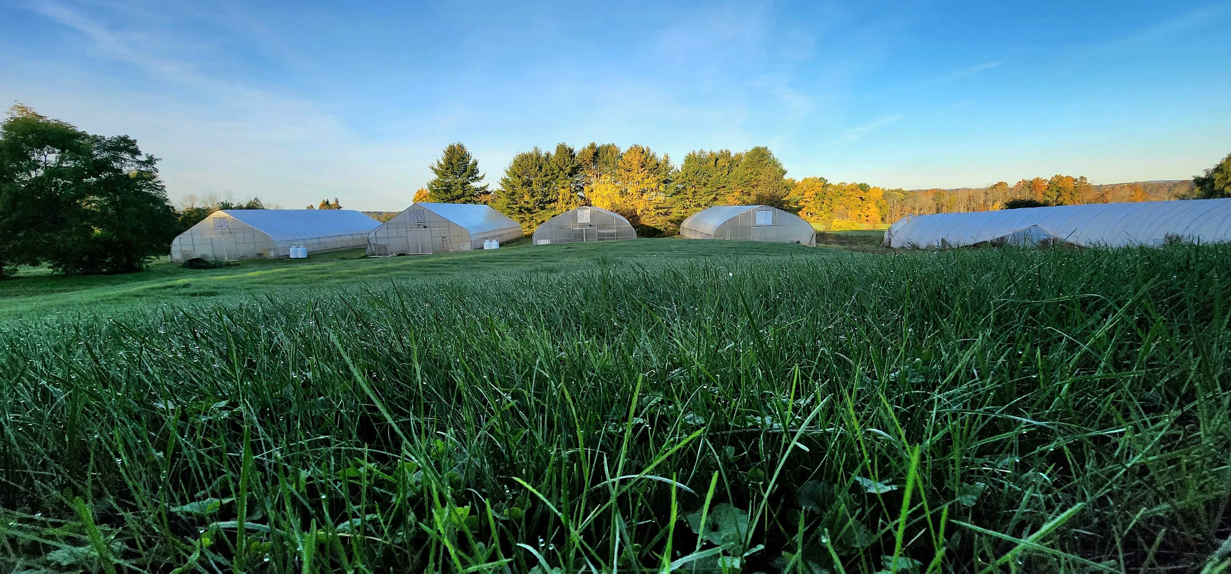 Five-acre family farm